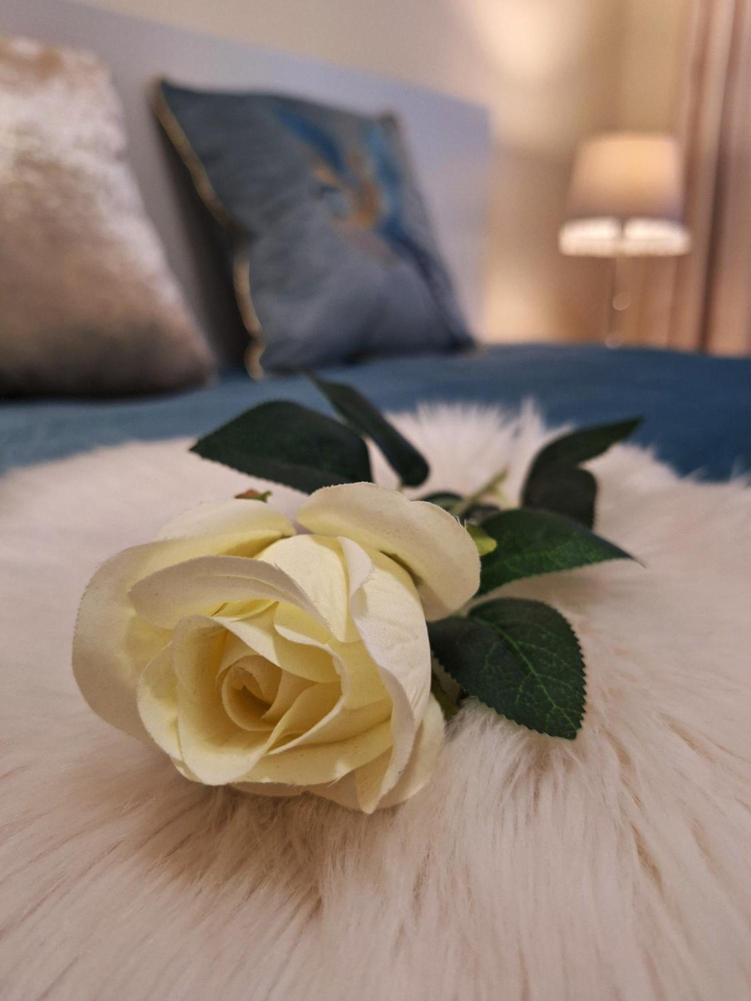 Albina Apartman Егер Екстериор снимка