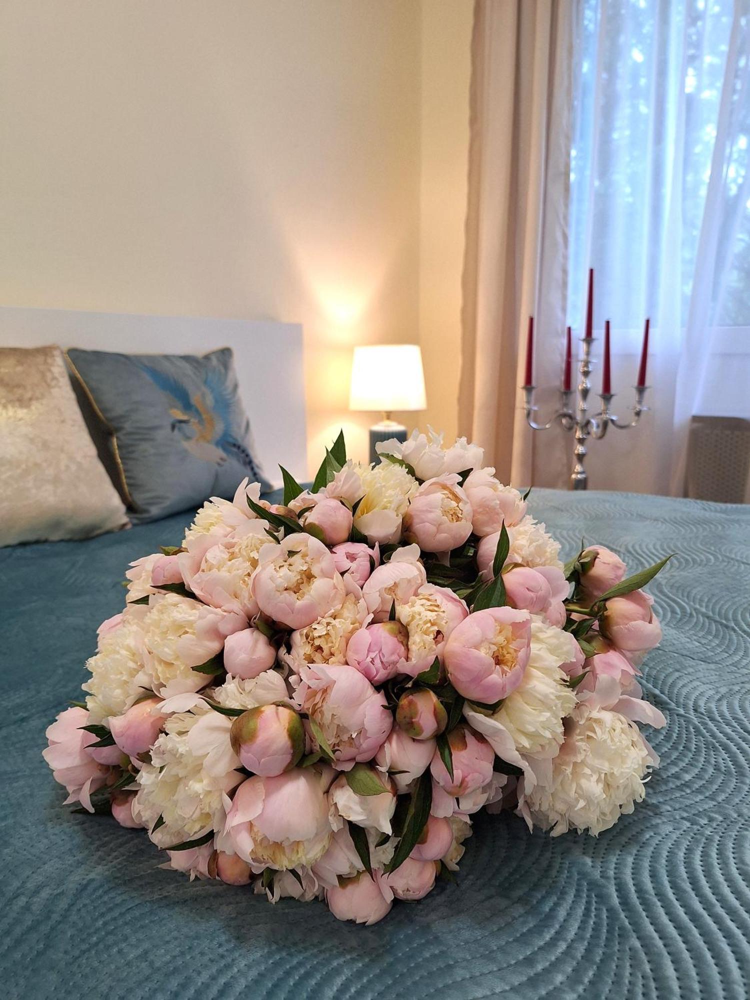 Albina Apartman Егер Екстериор снимка